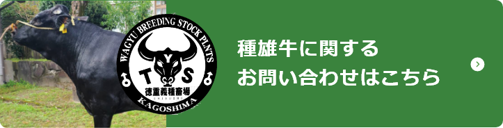 種雄牛のお問い合わせはこちら