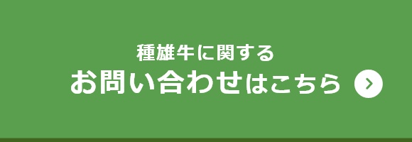 種雄牛のお問い合わせはこちら